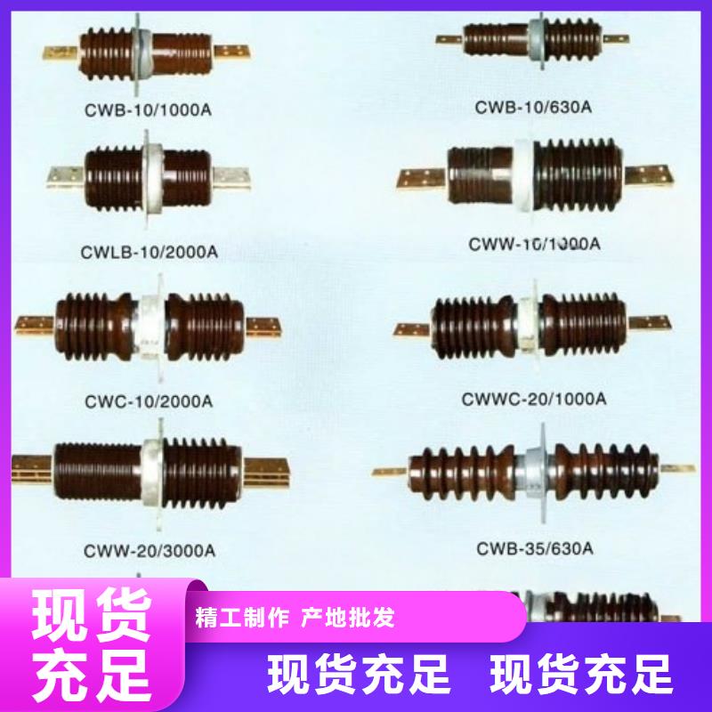 导电排式铜导体穿工厂直销
