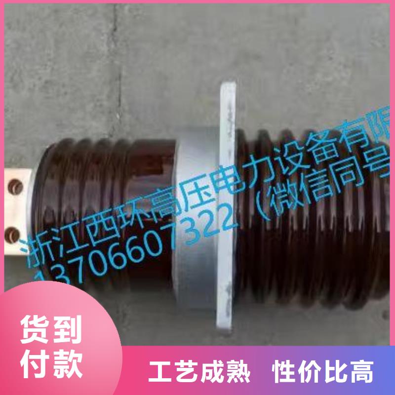 导电排式铜导体穿源头厂家
