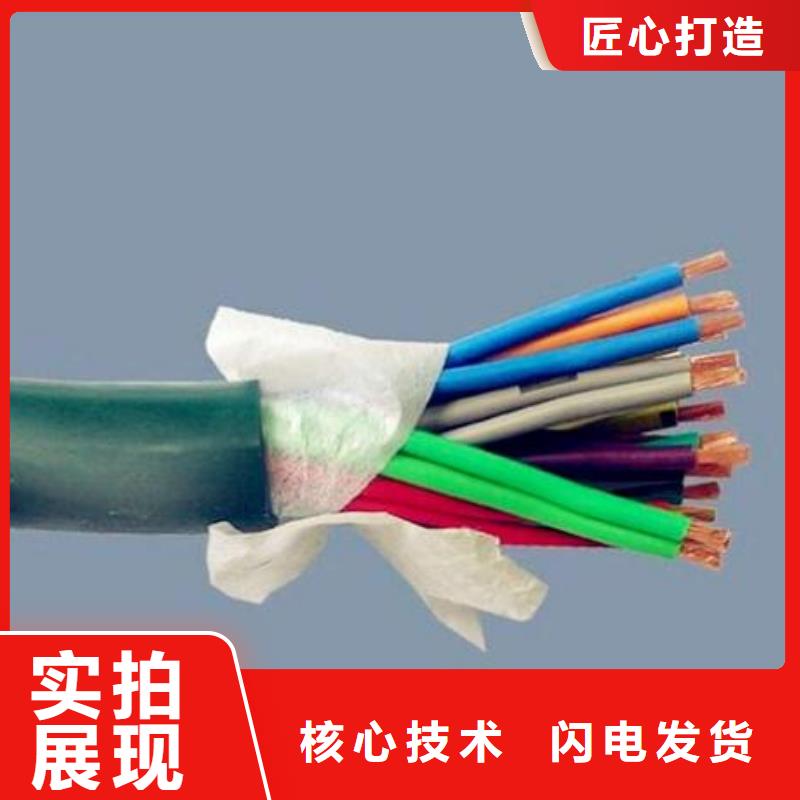 計算機屏蔽電纜廠家-有口皆碑-全國發(fā)貨