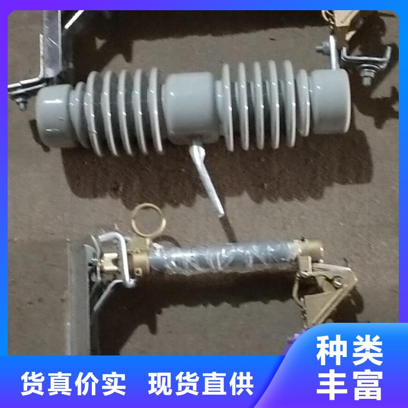 高壓熔斷器/RW10-10F/RW10-10F/100A【浙江羿振電氣有限公司】