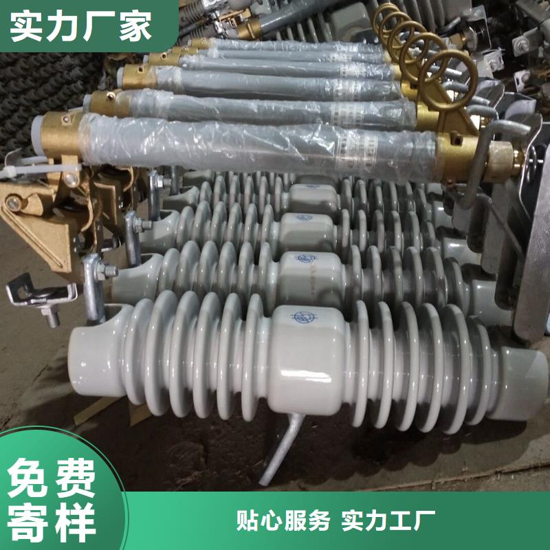 【跌落式熔断器】高压熔断器/RW-24F/200A生产厂家