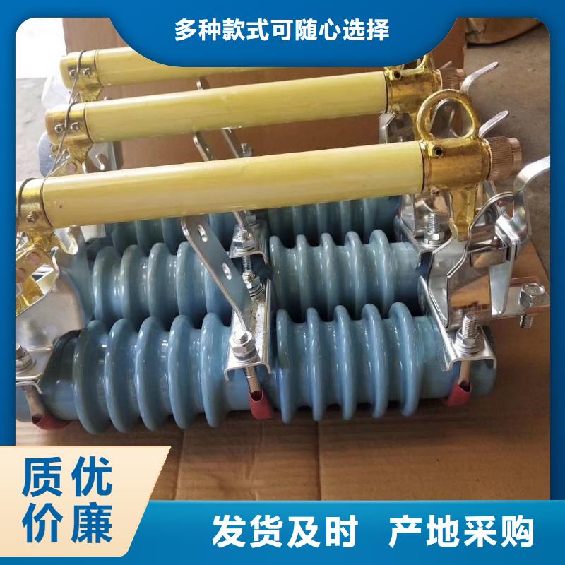 【跌落式熔断器】高压熔断器/RW12-10KV/200A生产厂家