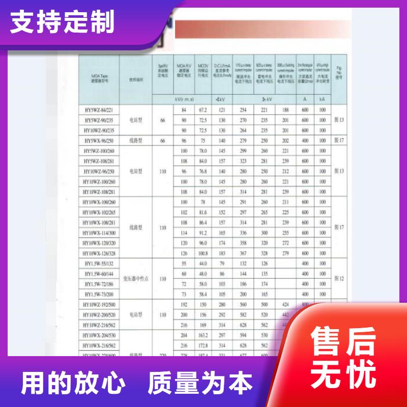 【高压熔断器/跌落保险】HPRW12-15KV/2  