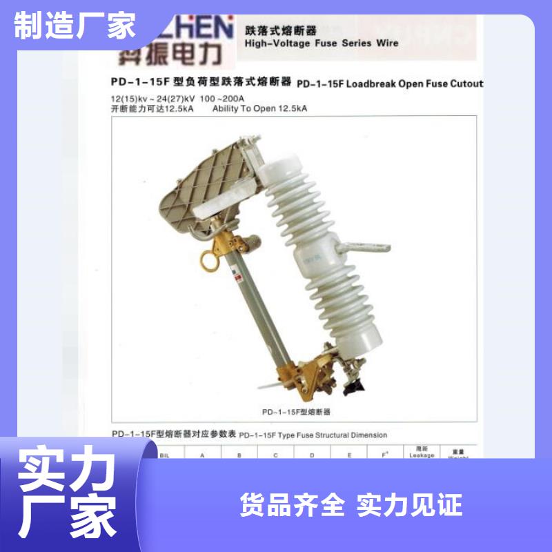 【跌落式熔断器】HRW12-10-200A/厂家供货