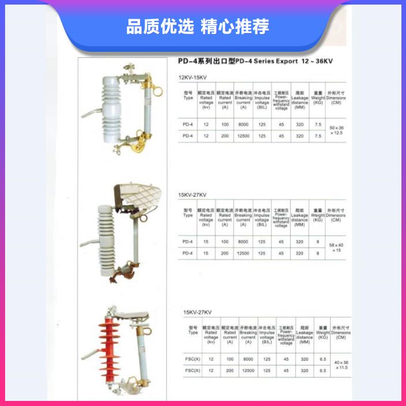高压熔断器/HFRW6-10/200A【浙江羿振电气有限公司】