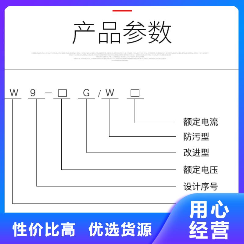 【高压隔离开关】 隔离刀闸HGW9-12G(W)/6  