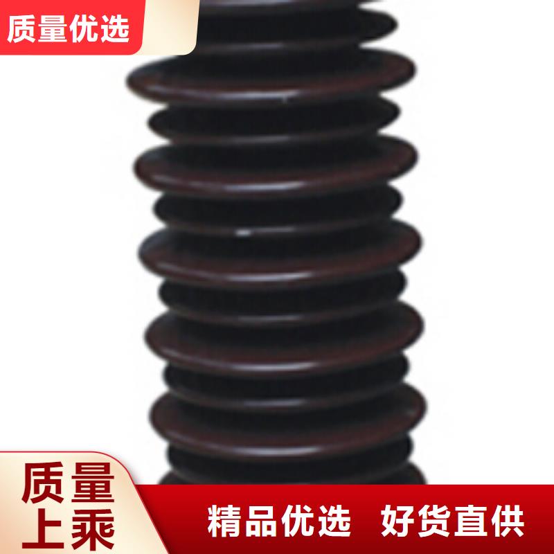 ZSW1-20/20支柱絕緣子