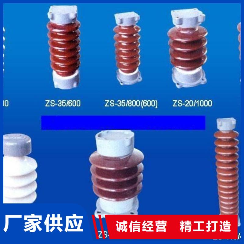 ZSW1-20/20支柱絕緣子