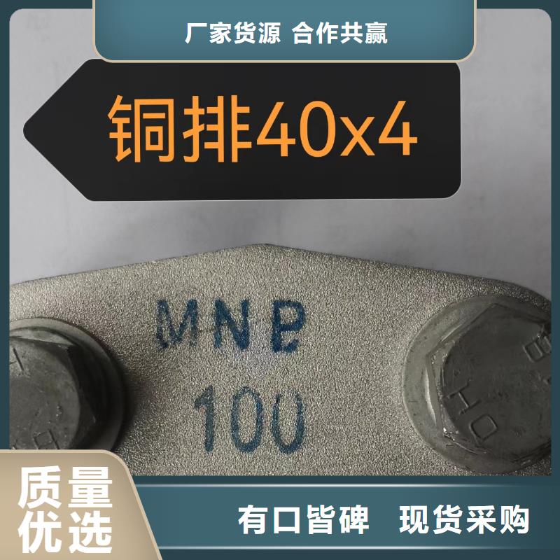 MNP-107母线固定金具 