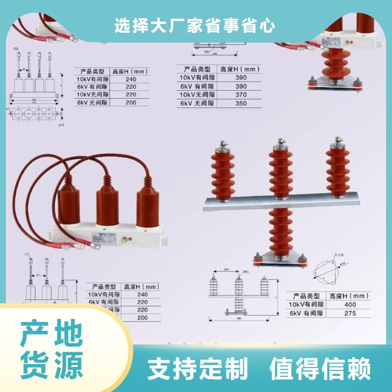 永州生产 过电压保护器/避雷器YH2.5WD-13.5/38.7*13.5/3   