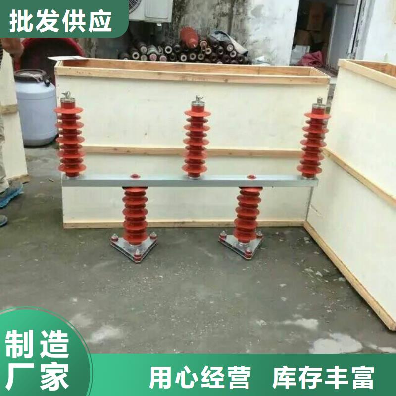 【避雷器】TBP-A-6.3/
