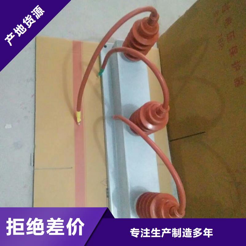 南京品质 过电压保护器/避雷器TBP-B-10.5/85-J