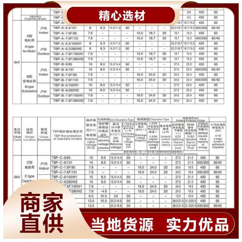 南京品质 过电压保护器/避雷器TBP-B-10.5/85-J