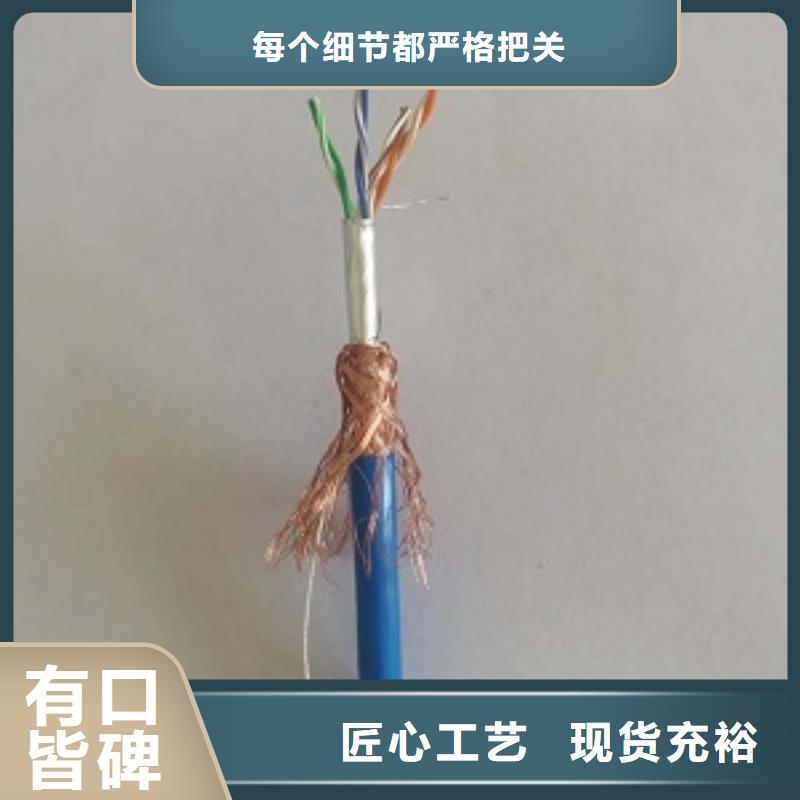 长泰DJYP2VP2R-22电缆10*2*1.0