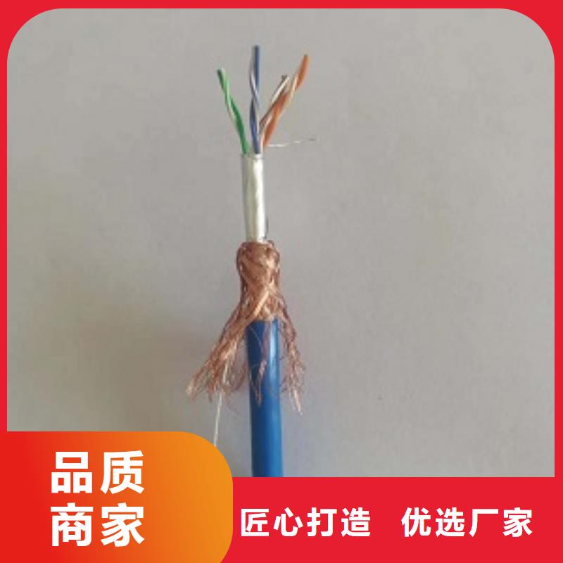 海南直销IA-DJYPV电缆1*2*1.5