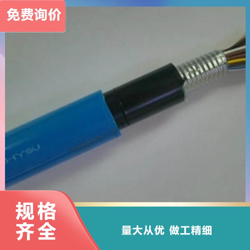 霞浦IA-DJYVP电缆14*2*1.0