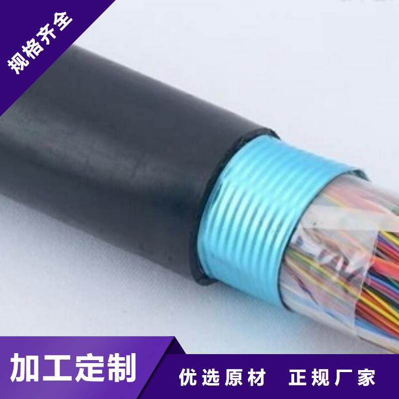 东丰IA-DJYVRP2-32-4X2X0.5电缆