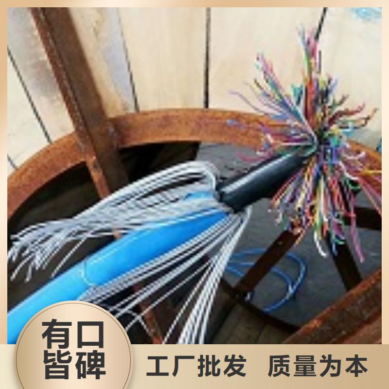 《乌海》购买WDZN-KYYP33电缆