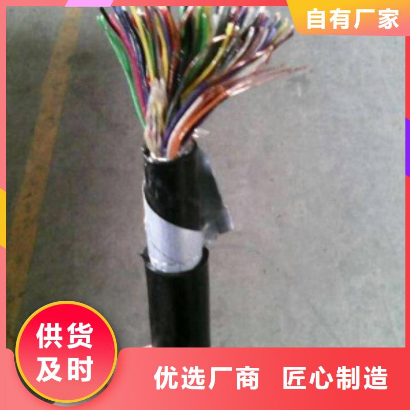 会昌HPVV电缆30*2*0.4