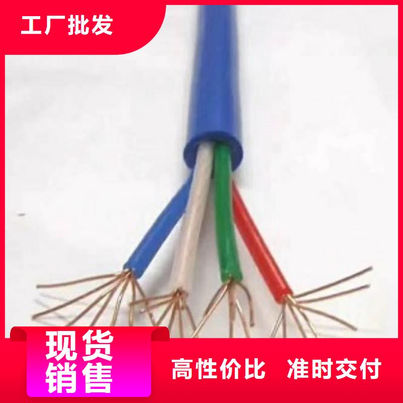 海南本土DJYPV-16X2X1.0电缆
