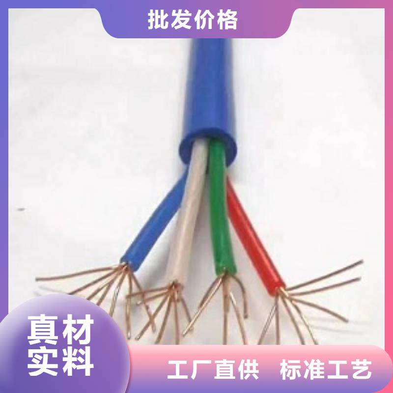 望江IA-DJYP3V22-8X2X0.5电缆