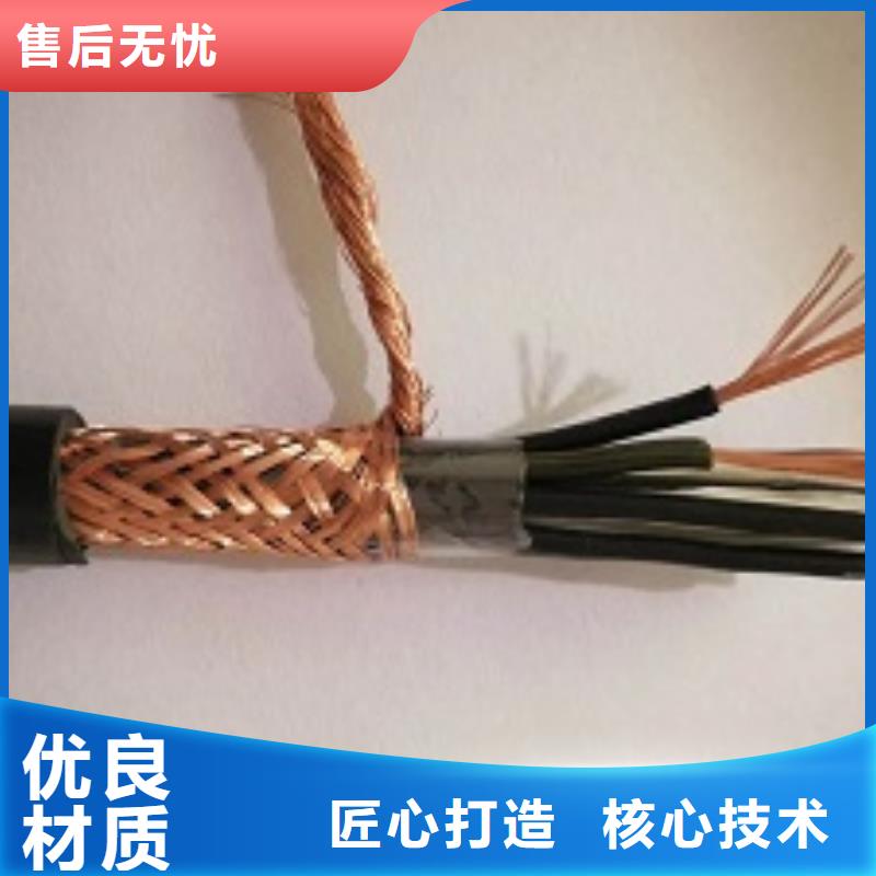 翔安WDZCN-DJYPY-2X2X1.0电缆