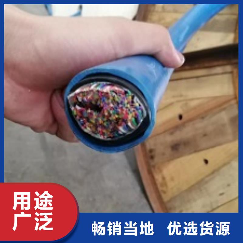 漳县MHYV2X2X0.5矿用通信电缆生产厂
