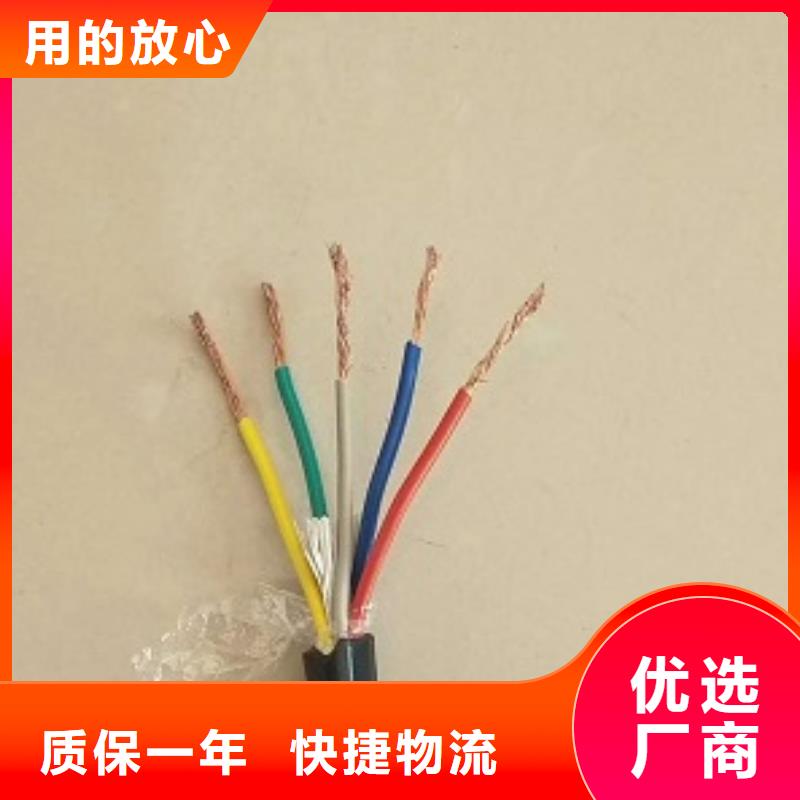 义乌HYV-2*2*0.5电缆