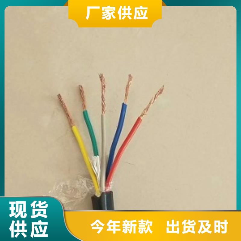 江西同城IA-DJYP3V电缆2*2*0.5