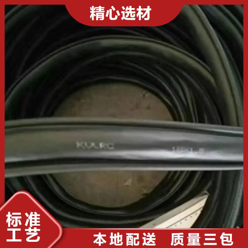仙游WDZB-KYYRP电缆2X2.5
