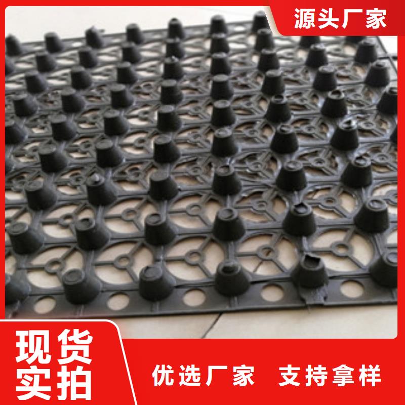 排水板批發廠家價格優惠