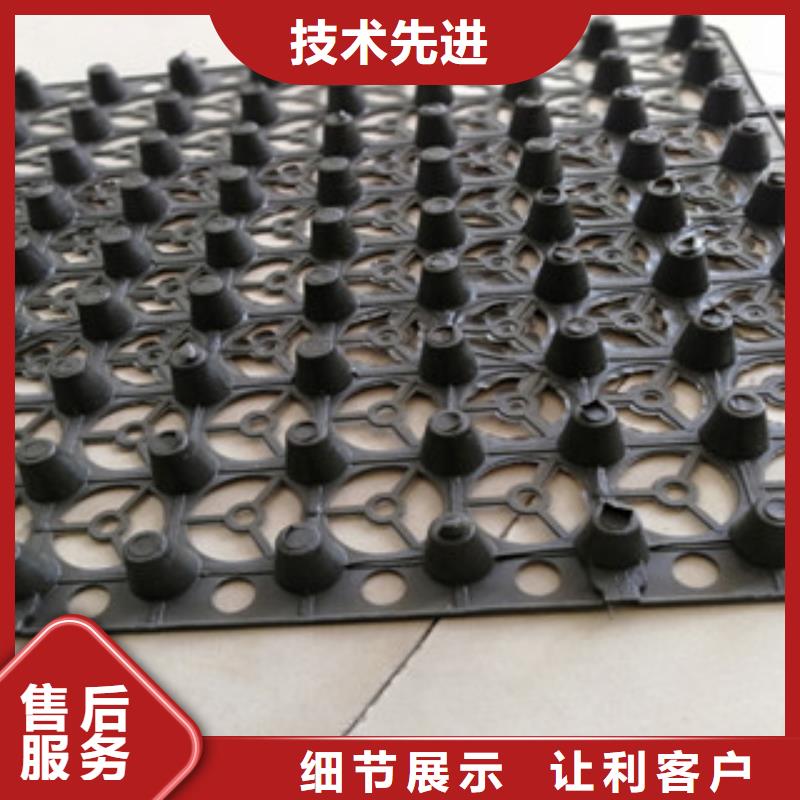 價(jià)格合理的排水板生產(chǎn)廠家