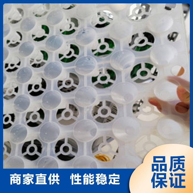 排水板價格實惠