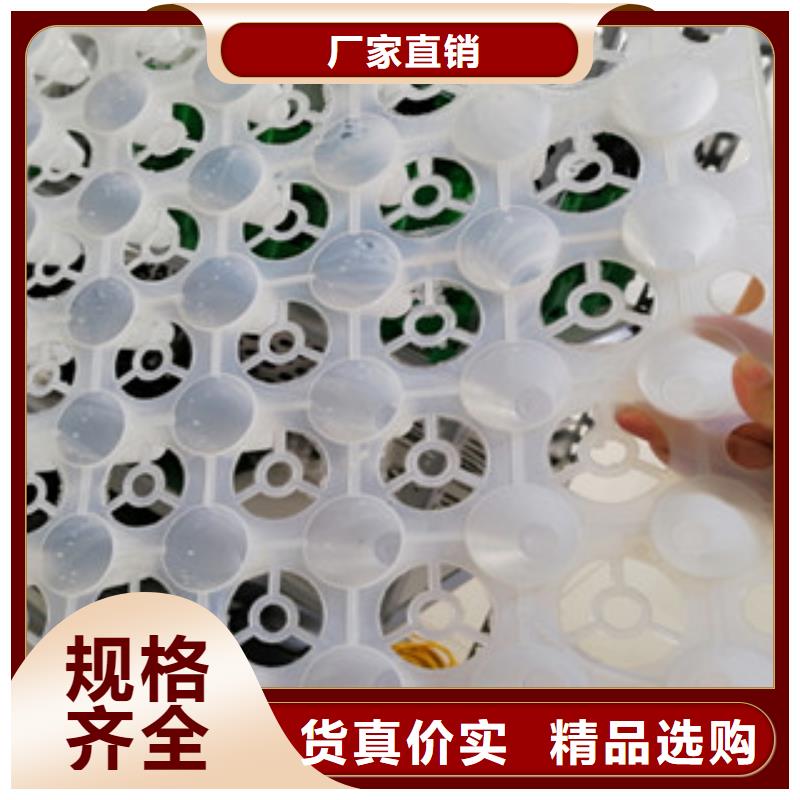 排水板存貨充足