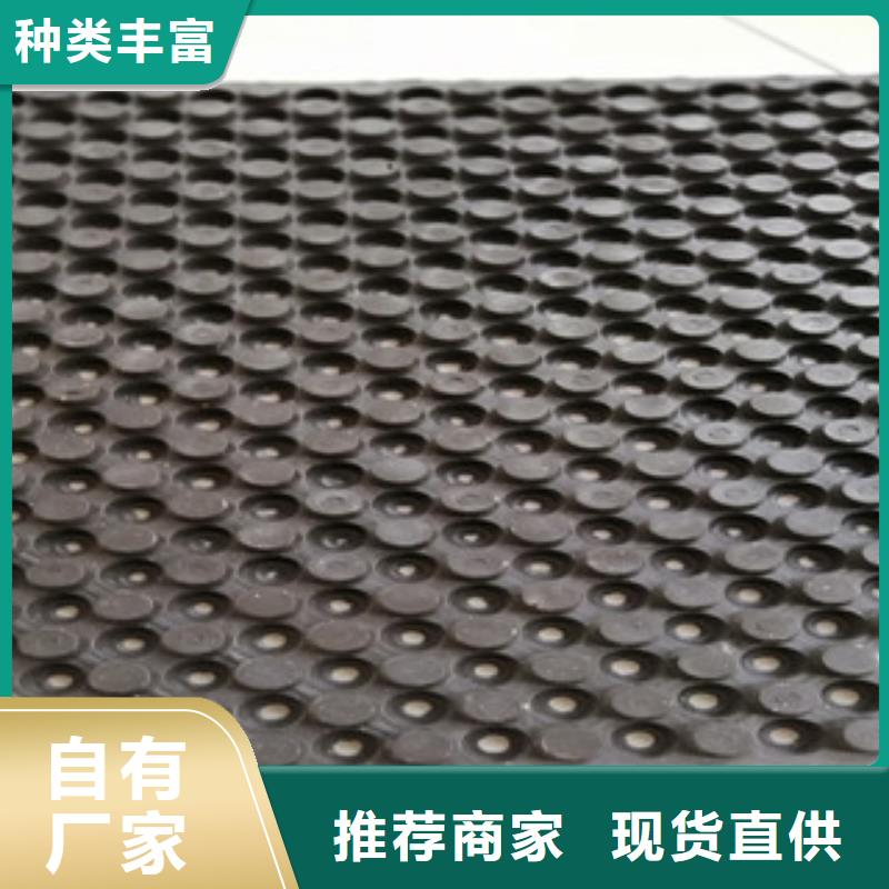 現貨供應排水板_品牌廠家