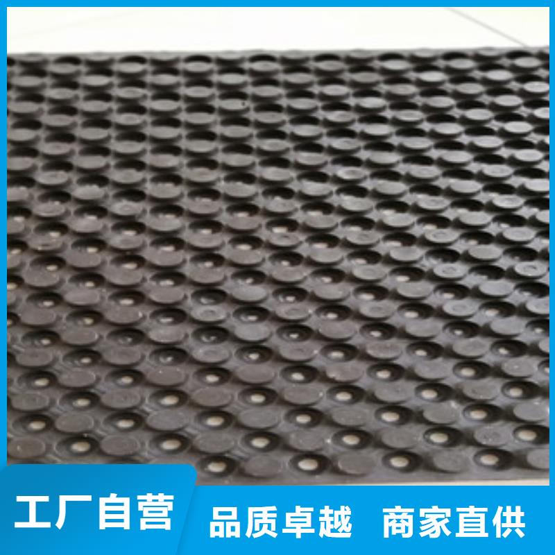 排水板工廠直供本地品牌