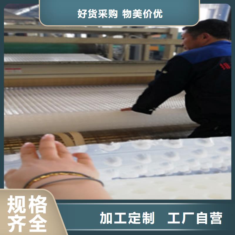 排水板生產廠家有樣品