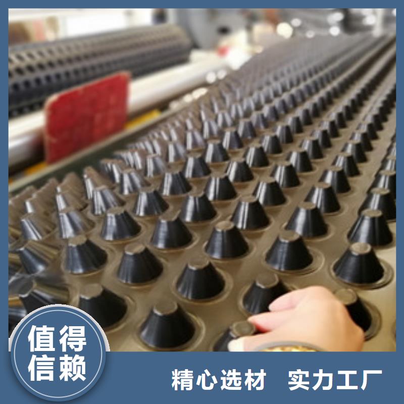 排水板、排水板廠家-發(fā)貨及時(shí)