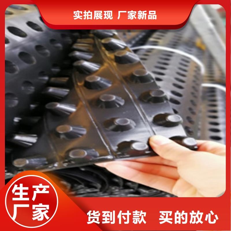 排水板生產(chǎn)經(jīng)驗豐富的廠家