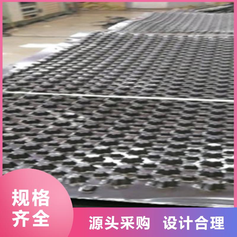 排水板廠家發貨快廠家貨源穩定
