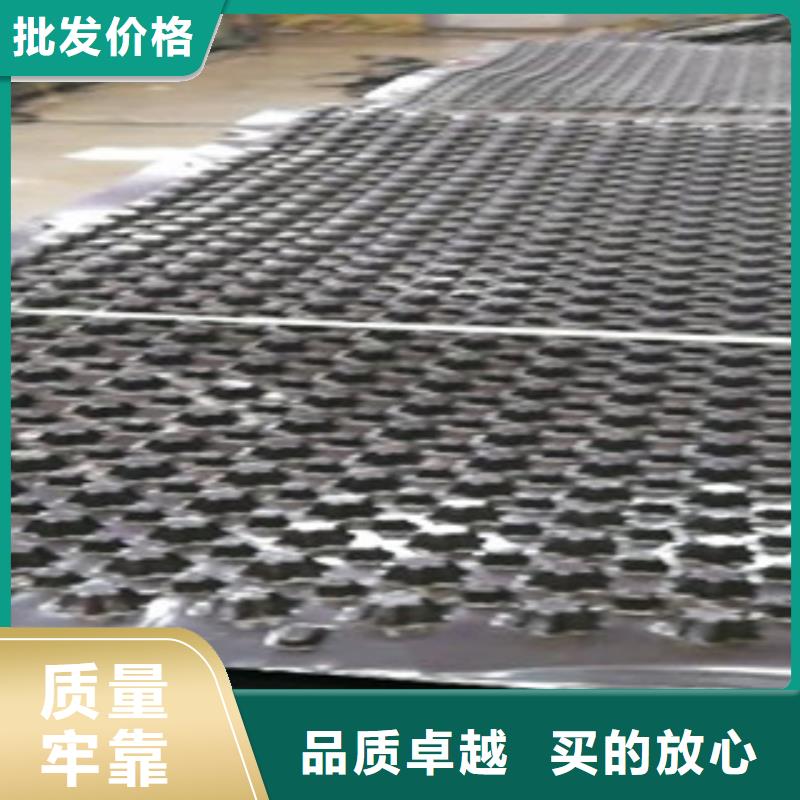 排水板排水板廠家廠家直發
