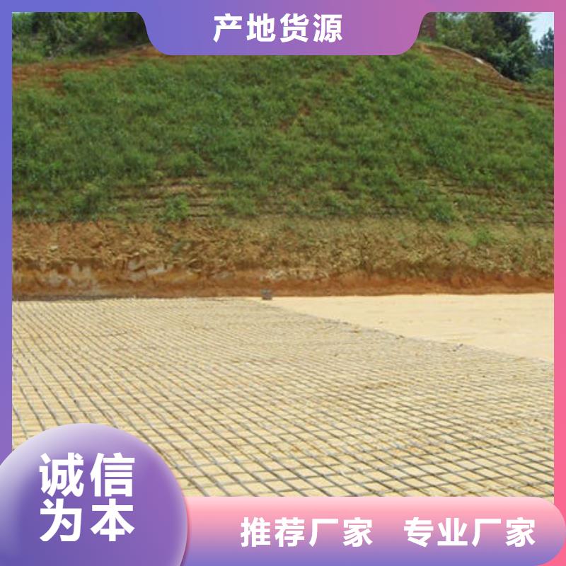玻璃纖維格柵在線咨詢