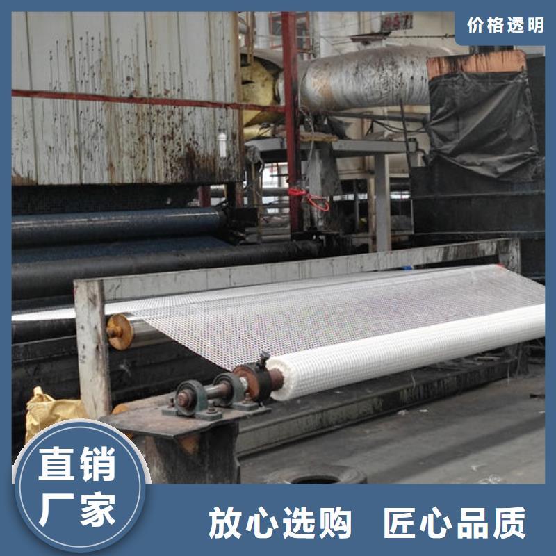 供應批發鋼塑土工格柵-大型廠家專業按需定制
