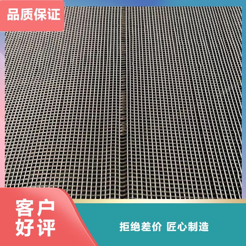 鋼塑土工格柵工廠直銷