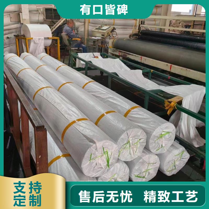 钢塑土工格栅真正的厂家货源
