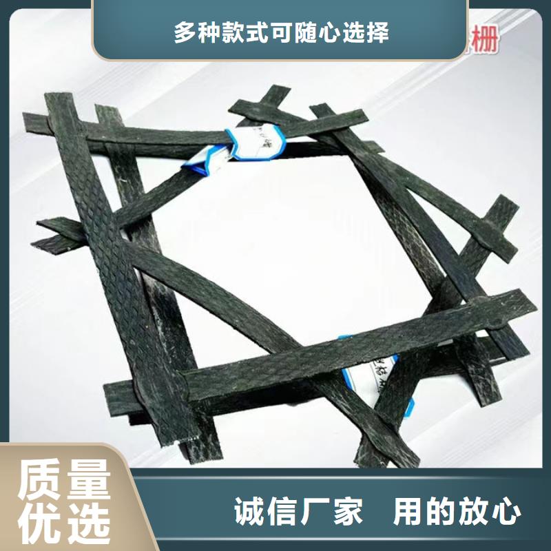 鋼塑土工格柵型號(hào)齊全