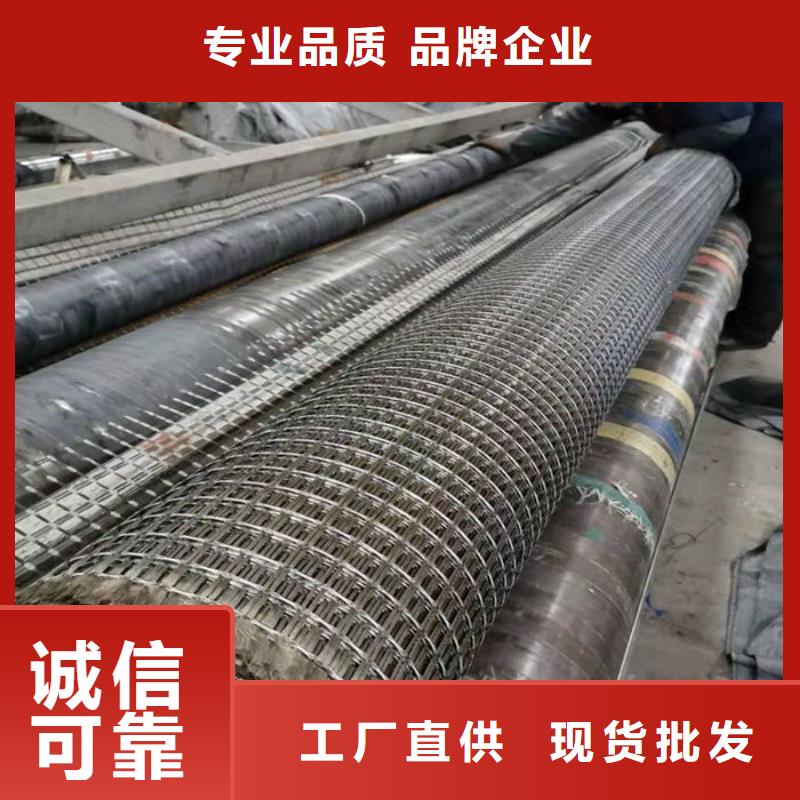 鋼塑土工格柵型號(hào)齊全