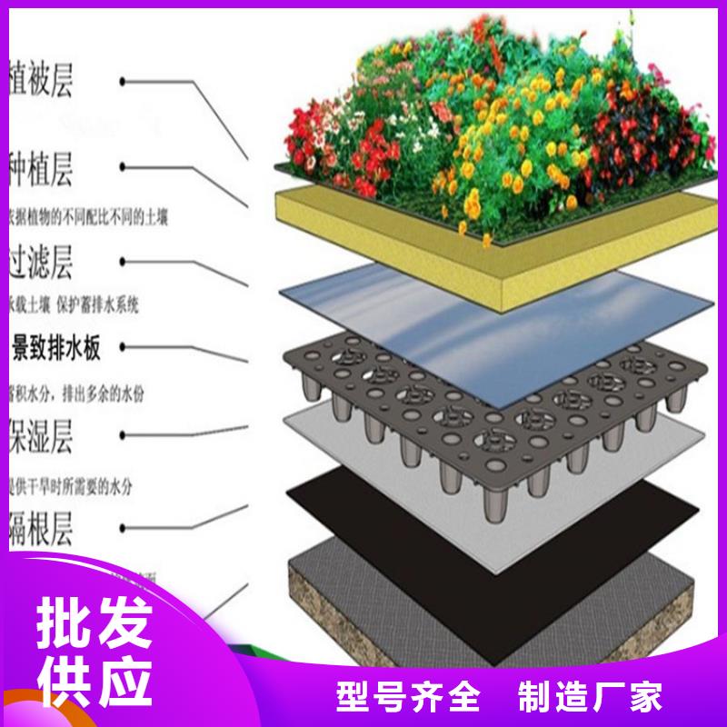 屋顶绿化塑料蓄排水板厂家电话：襄樊买