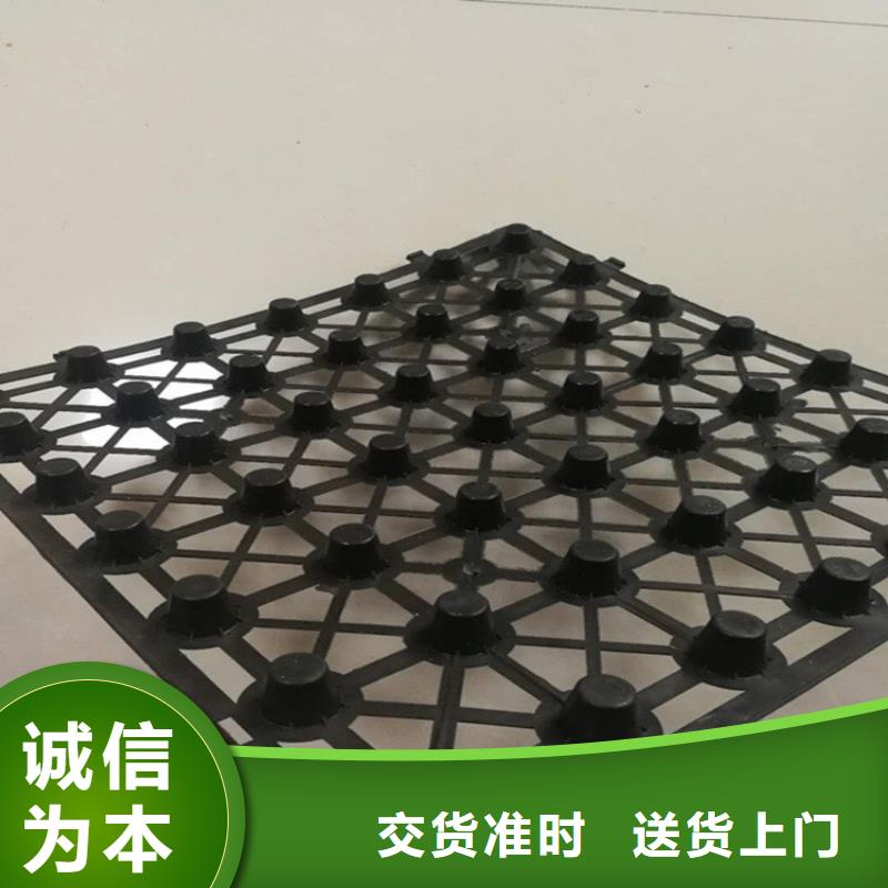 凹凸型塑料排水板有经销商店吗：锦州本土