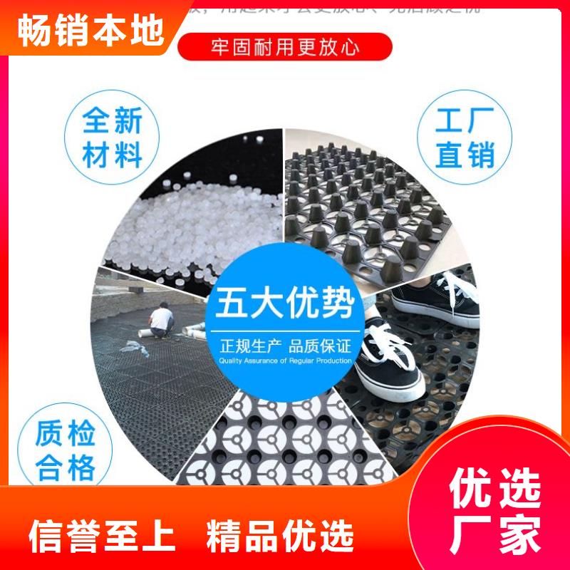 屋顶绿化排水板生产厂家：【浙江】订购